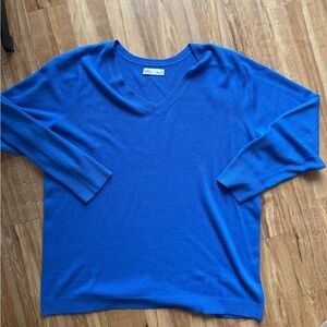 Blue V Neck Sweater